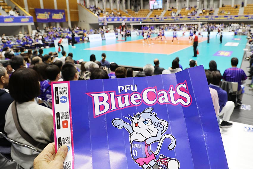 ブルーキャッツ観戦記 