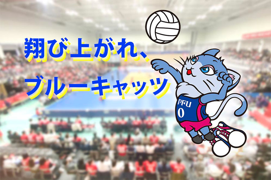 ブルーキャッツ観戦記 