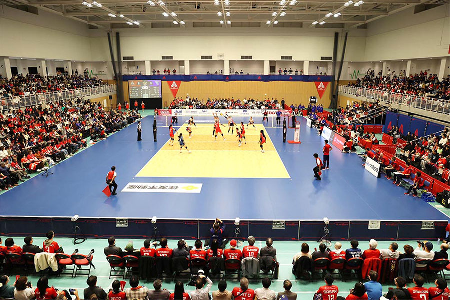 ブルーキャッツ観戦記 